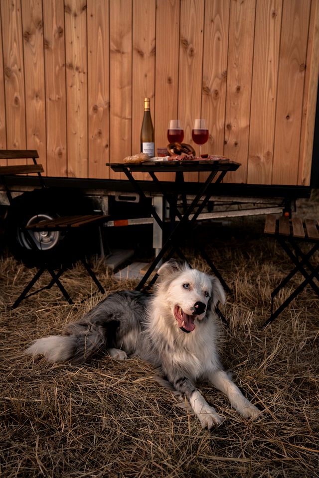 Charming Eco-Lodge with Panoramic Countryside Views near Vichy, Allier