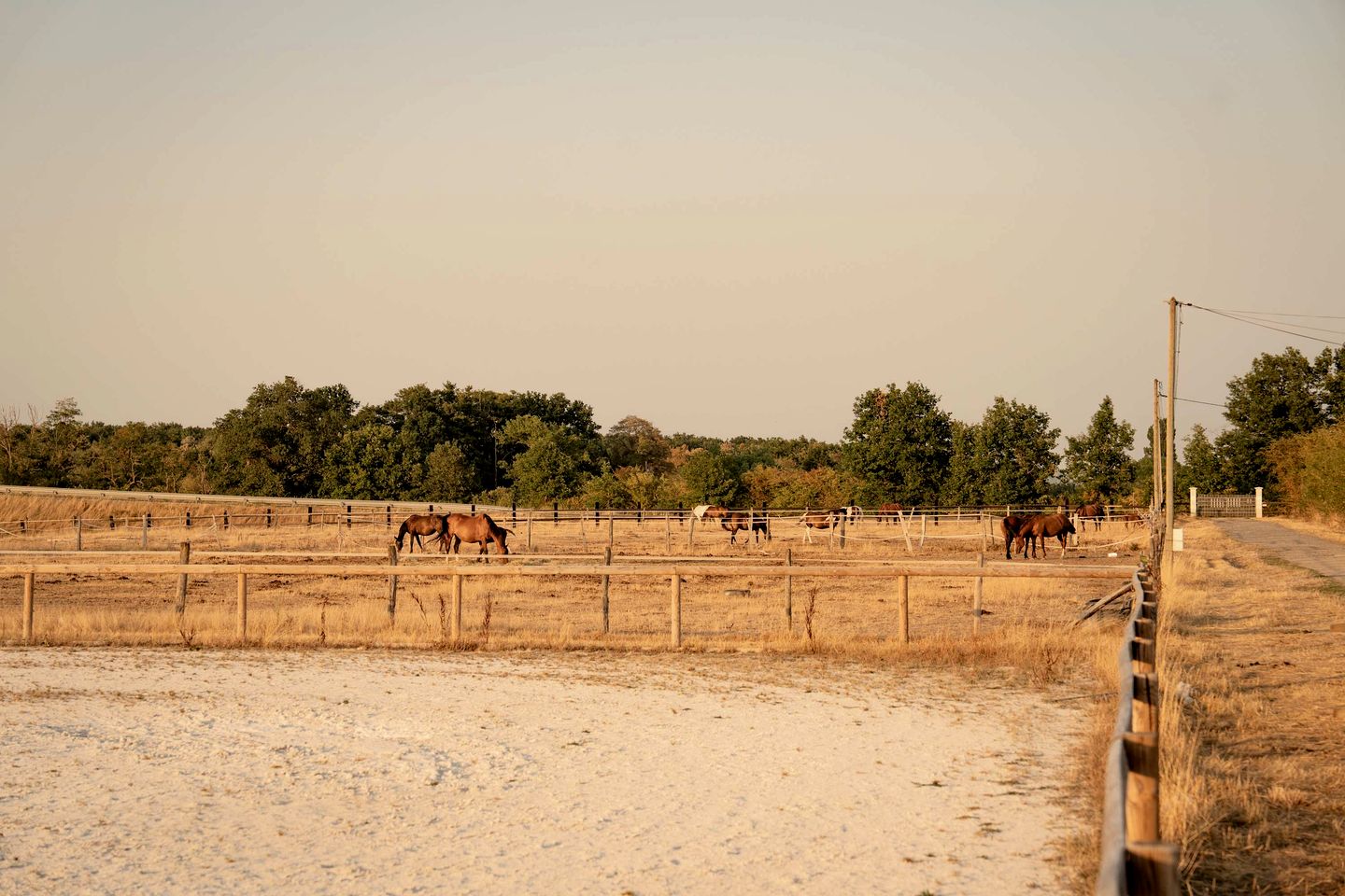 Charming Eco-Lodge with Panoramic Countryside Views near Vichy, Allier