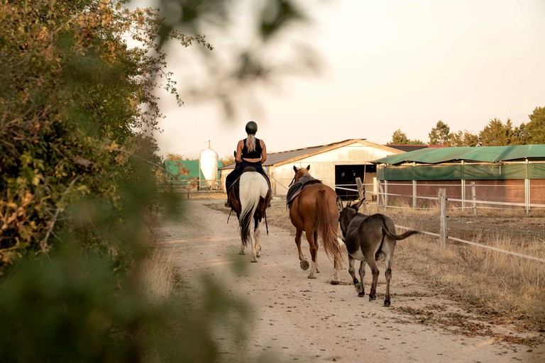 Tiny Houses (France, Espinasse-Vozelle, Auvergne-Rhône-Alpes)