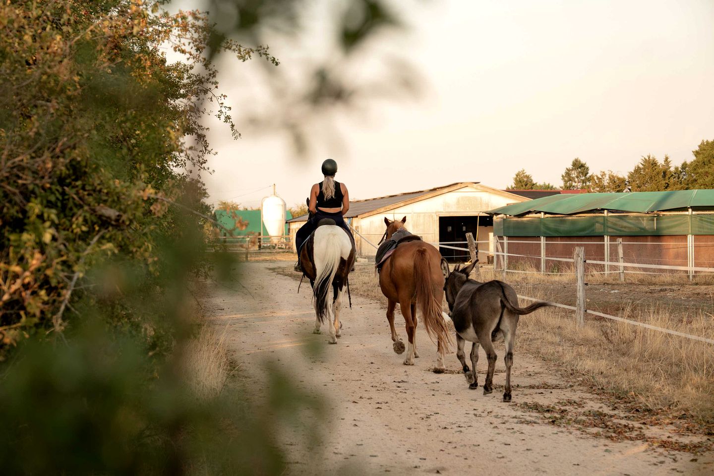 Charming Eco-Lodge with Panoramic Countryside Views near Vichy, Allier