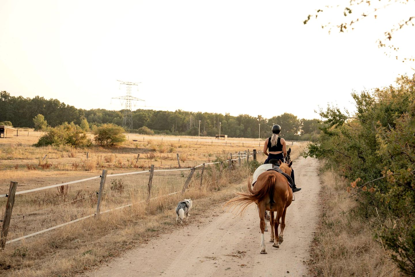 Charming Eco-Lodge with Panoramic Countryside Views near Vichy, Allier