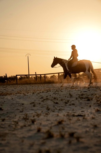Tiny Houses (France, Espinasse-Vozelle, Auvergne-Rhône-Alpes)