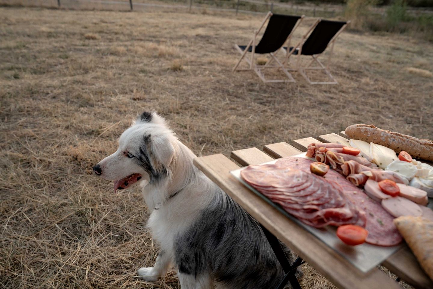 Charming Eco-Lodge with Panoramic Countryside Views near Vichy, Allier