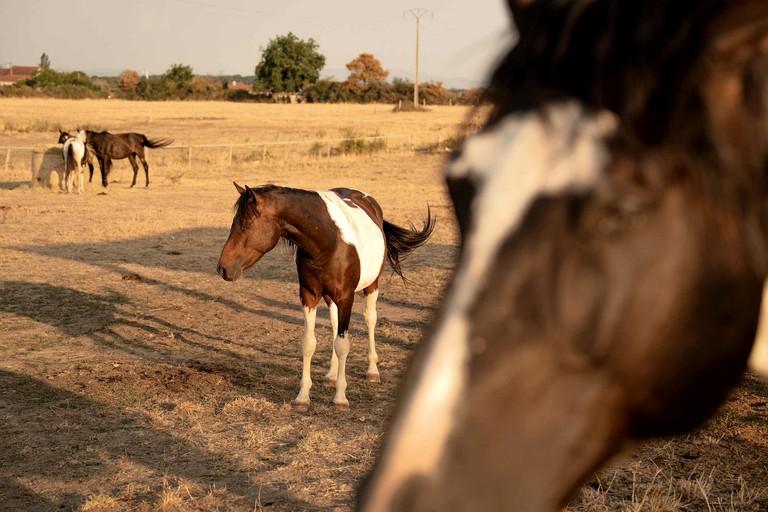 Tiny Houses (France, Espinasse-Vozelle, Auvergne-Rhône-Alpes)