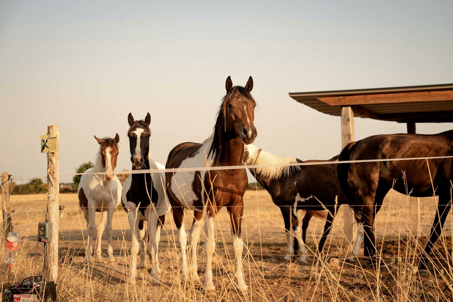 Charming Eco-Lodge with Panoramic Countryside Views near Vichy, Allier