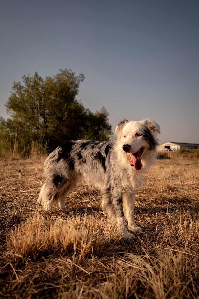 Charming Eco-Lodge with Panoramic Countryside Views near Vichy, Allier