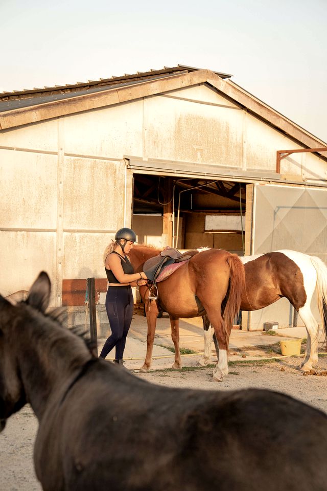 Charming Eco-Lodge with Panoramic Countryside Views near Vichy, Allier