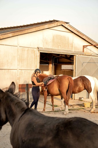 Tiny Houses (France, Espinasse-Vozelle, Auvergne-Rhône-Alpes)