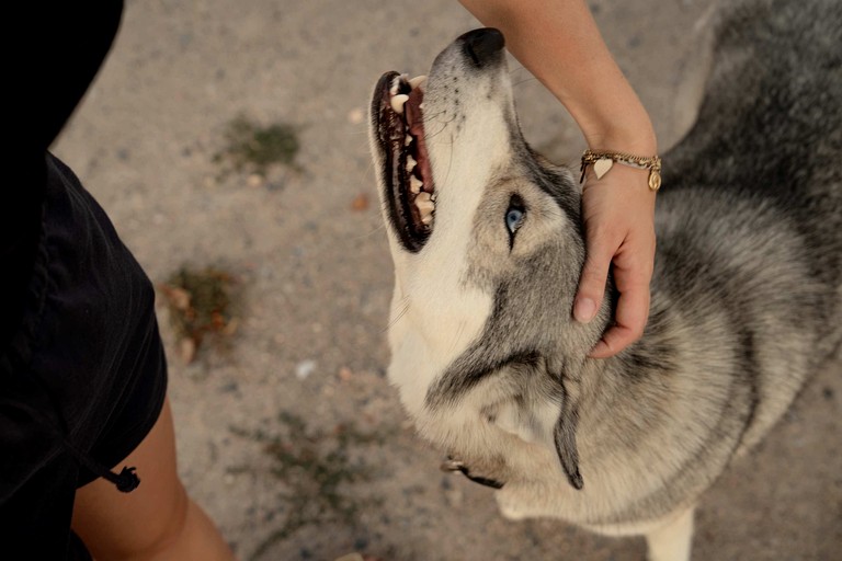 Tiny Houses (France, Espinasse-Vozelle, Auvergne-Rhône-Alpes)