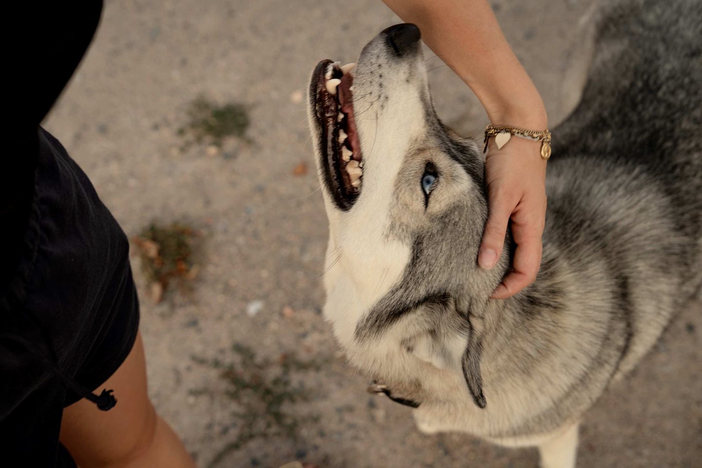 Charming Eco-Lodge with Panoramic Countryside Views near Vichy, Allier