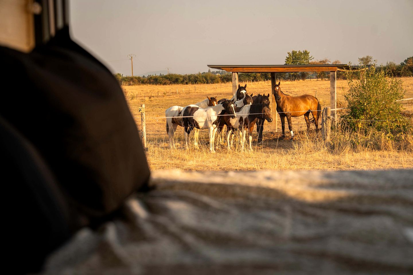 Charming Eco-Lodge with Panoramic Countryside Views near Vichy, Allier