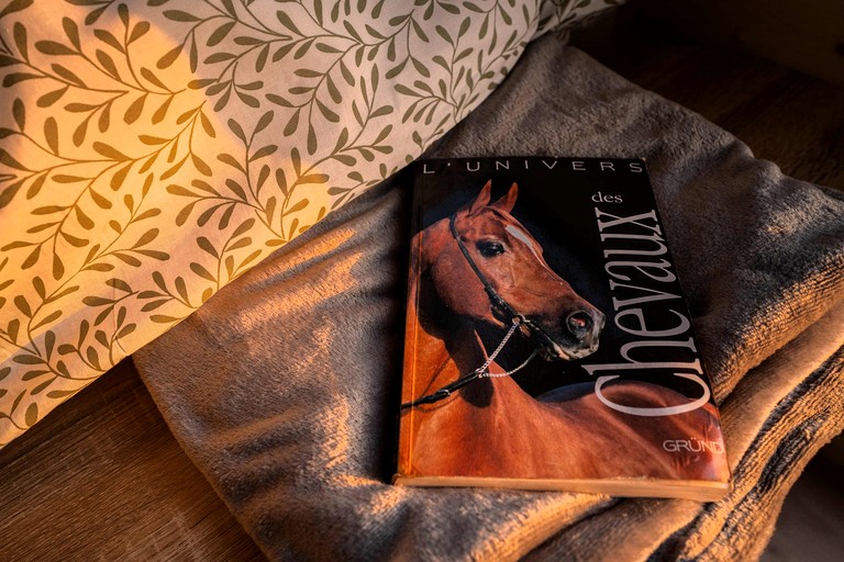 Tiny Houses (France, Espinasse-Vozelle, Auvergne-Rhône-Alpes)