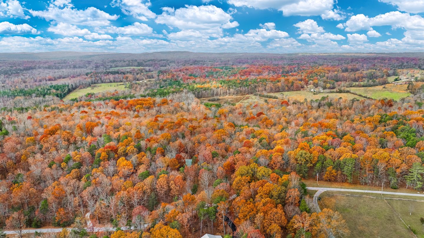 Cute Wooden Cabin Nestled Among Trees in Mentone, Alabama