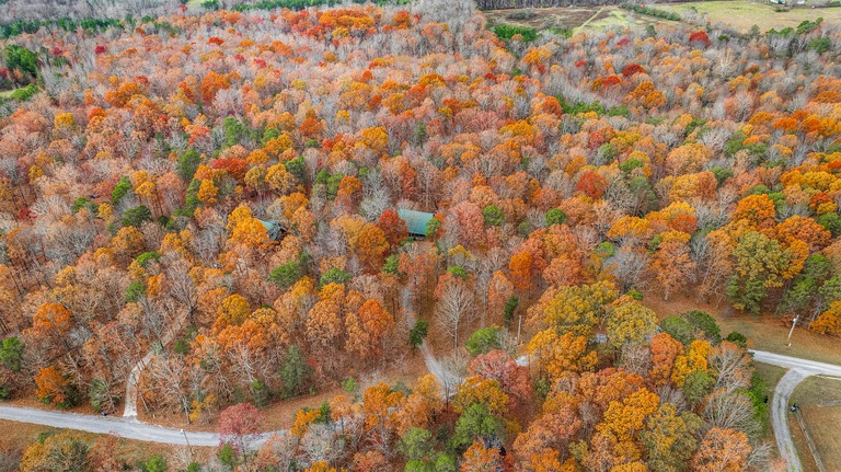 Cabins (United States of America, Mentone, Alabama)