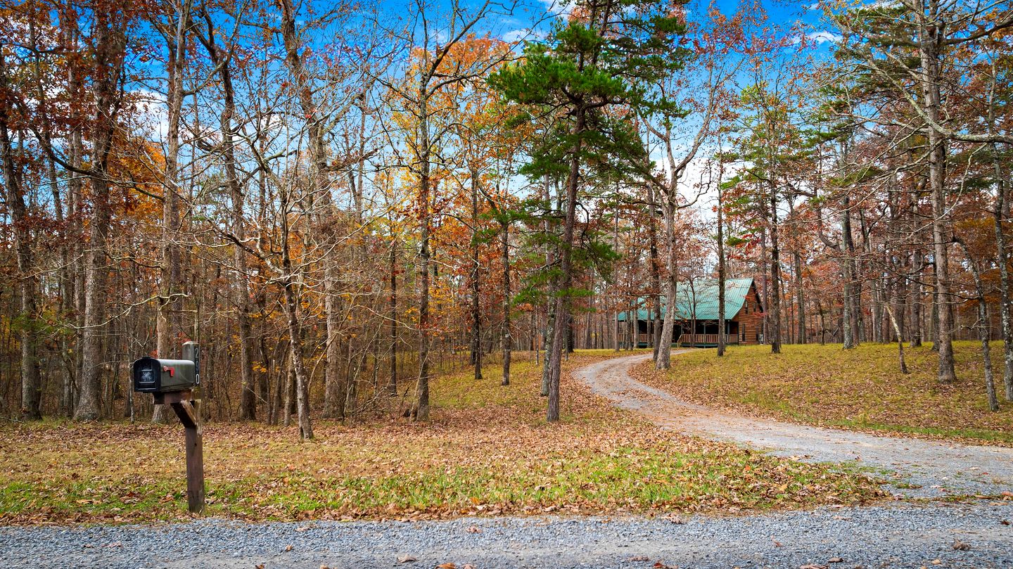 Cute Wooden Cabin Nestled Among Trees in Mentone, Alabama