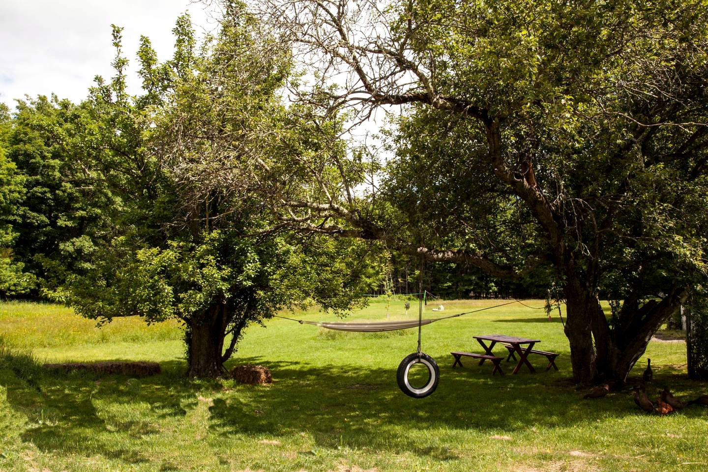 Wonderful Vacation Getaway on an Historic Farm in Saugerties, New York