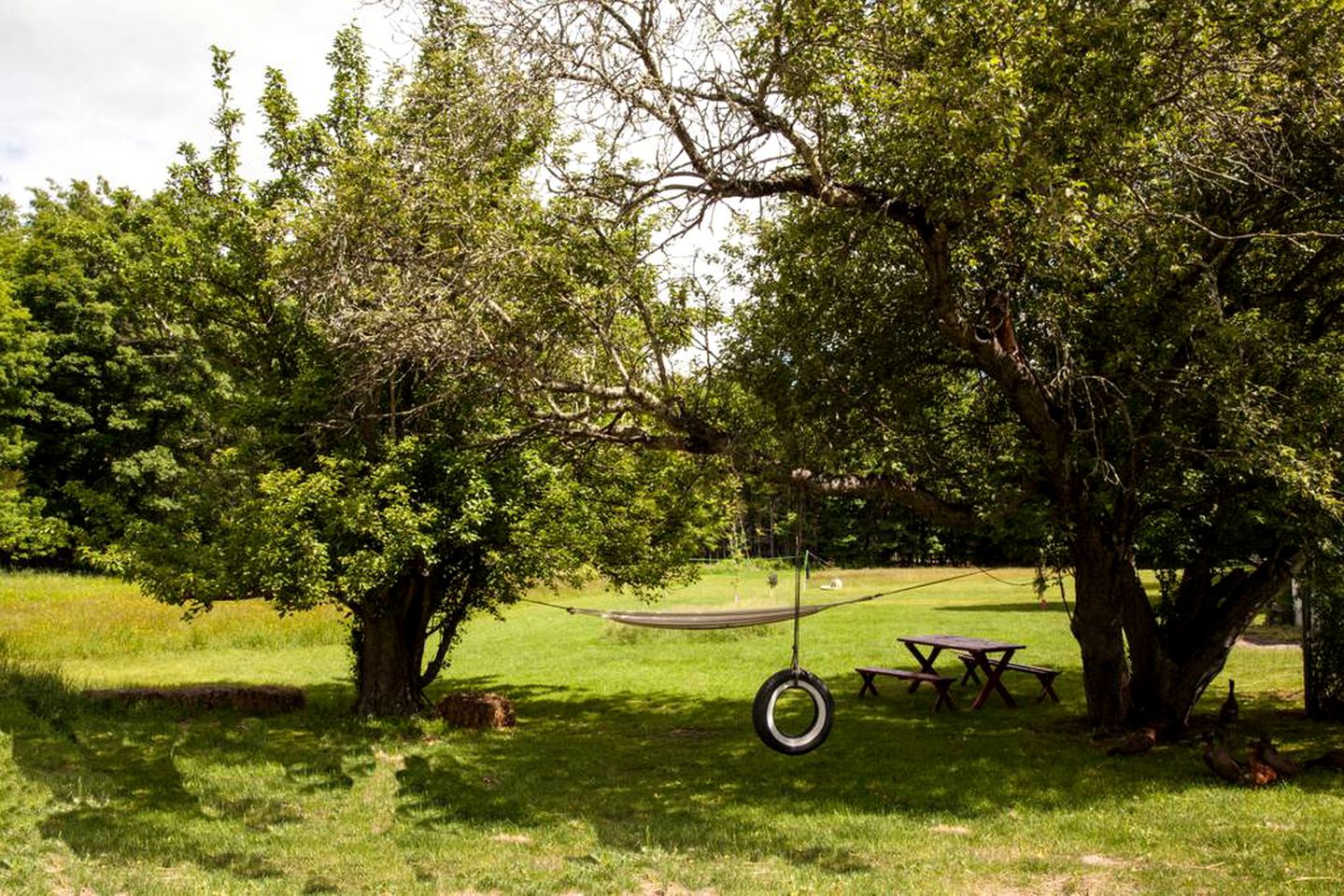 Idyllic Vacation Rental near Hudson Valley River in Saugerties, New York