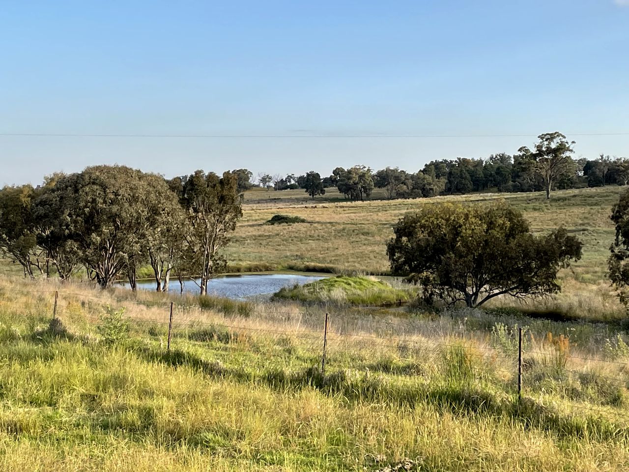 Tranquil, Pet-Friendly Tiny Home Perfect for Couples Glamping in Ulamambri, Australia