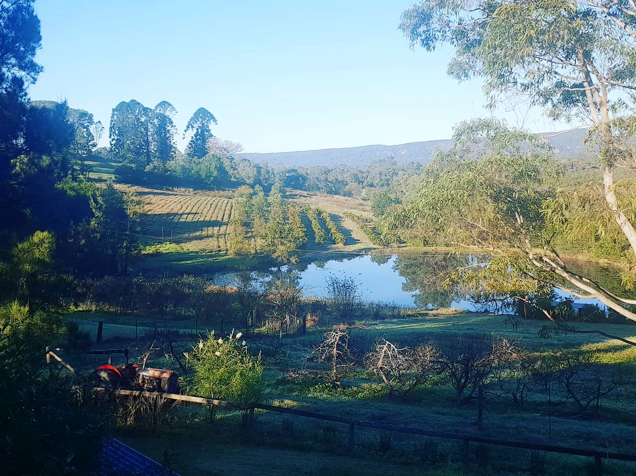 Tiny House Rental for Glamping, NSW