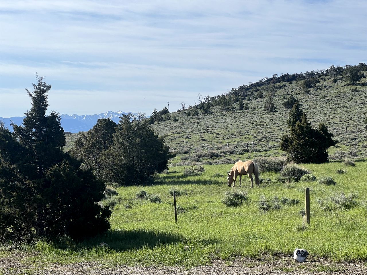 Charming Cabin with Mountain Views Near Madison River in Ennis, Montana