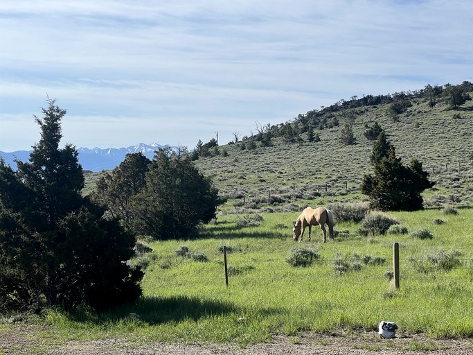 Cabins (United States of America, Ennis, Montana)