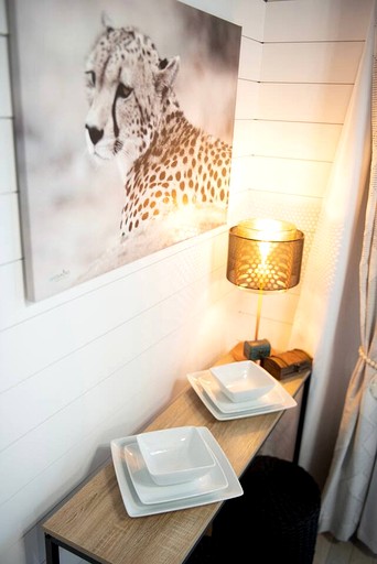 Vacation Rentals (United States of America, --, --)