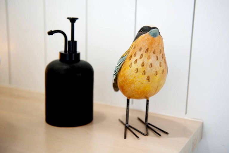 Vacation Rentals (United States of America, --, --)