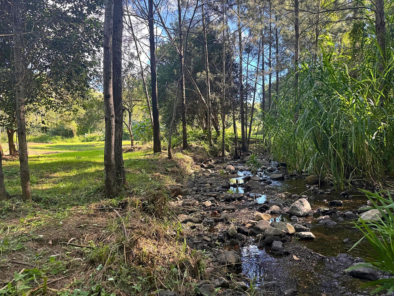 Serene Tiny Home Farm Stay with Creek Views near Toowoomba, Withcott QLD