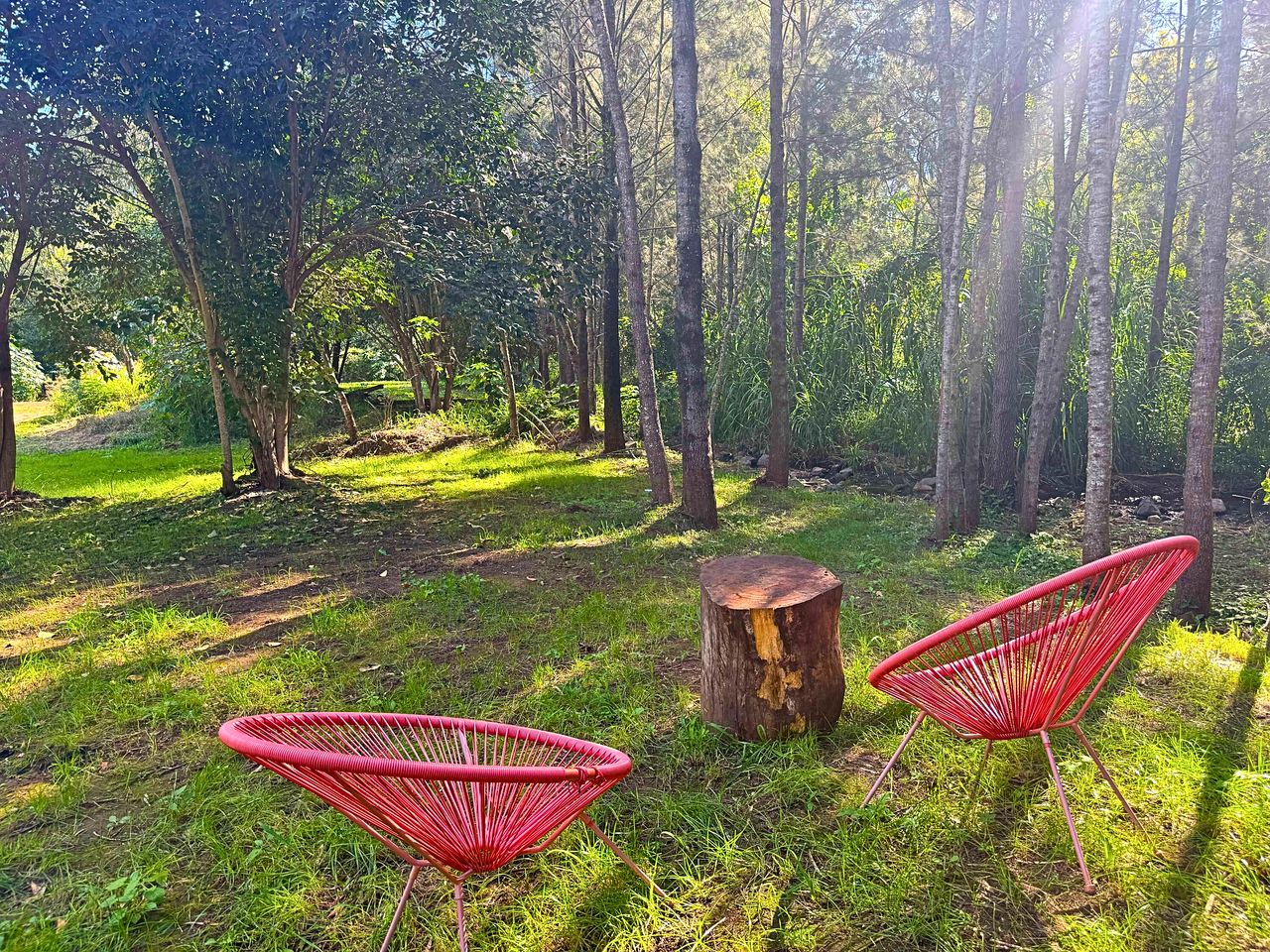 Serene Tiny Home Farm Stay with Creek Views near Toowoomba, Withcott QLD