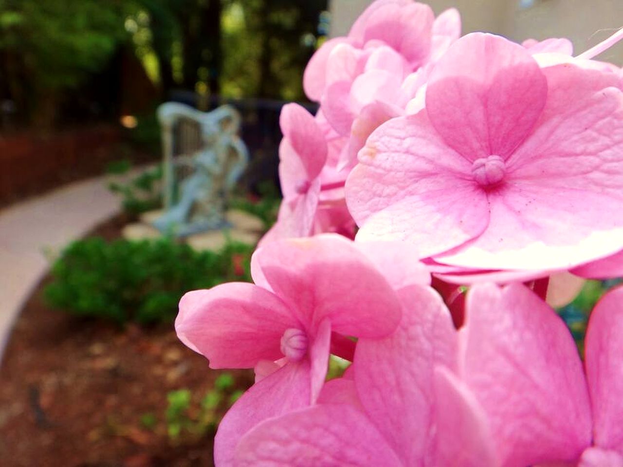 Delightful Cottage with Garden and Sauna in California