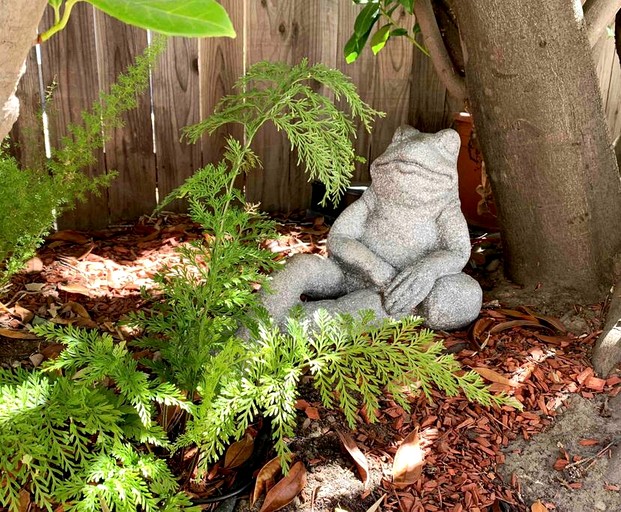 Vacation Rentals (United States of America, Saratoga, California)