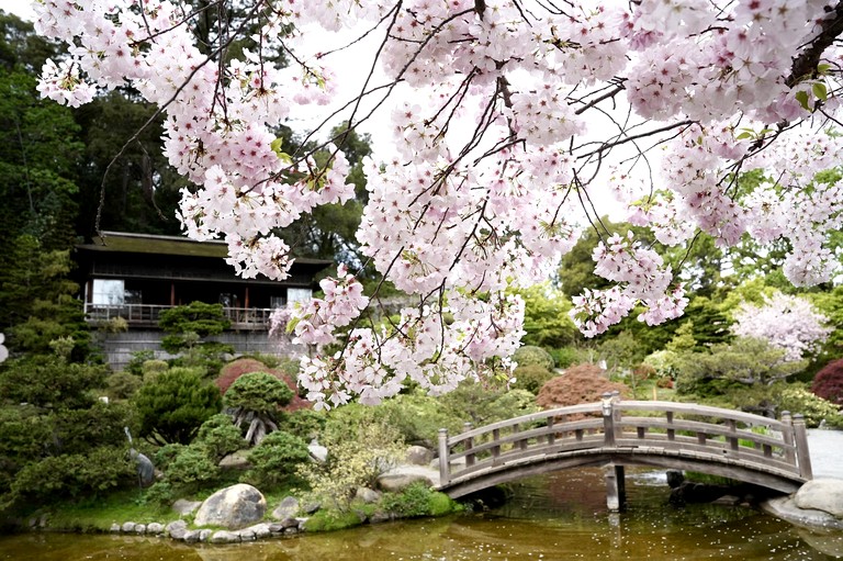 Vacation Rentals (United States of America, Saratoga, California)