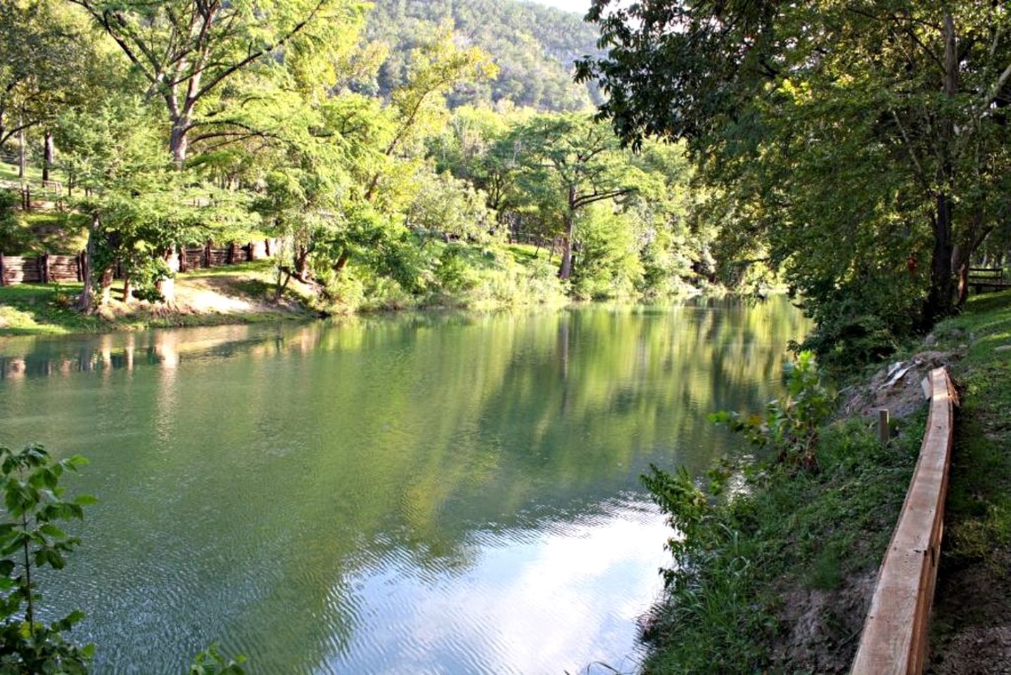 Fantastic Family Vacation Retreat for 12 near the Guadalupe River, Texas