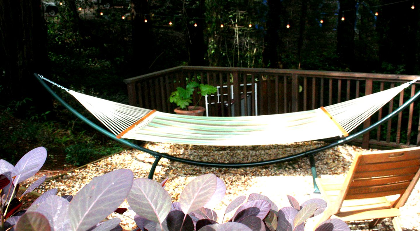 Pet-Friendly Cabin Rental with Studio for Glamping in Northern California