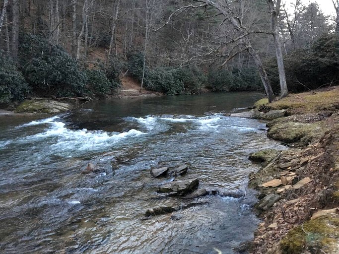 Cabins (Sparta, North Carolina, United States)