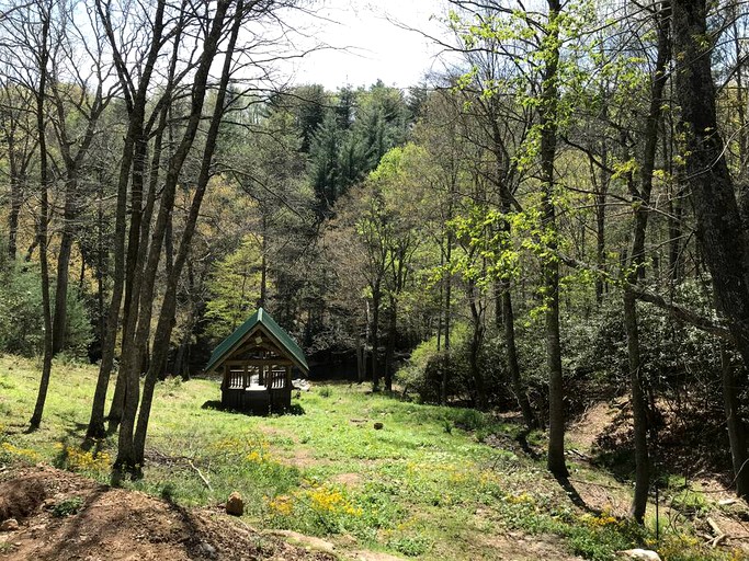 Cabins (Sparta, North Carolina, United States)