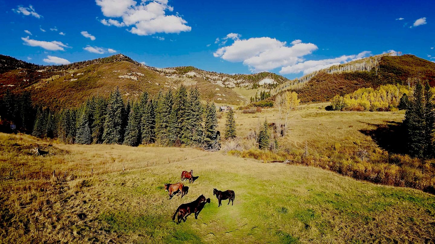Rustic, Private Log Cabin Lodge in the Wilderness of Colorado, Perfect for a Family Getaway