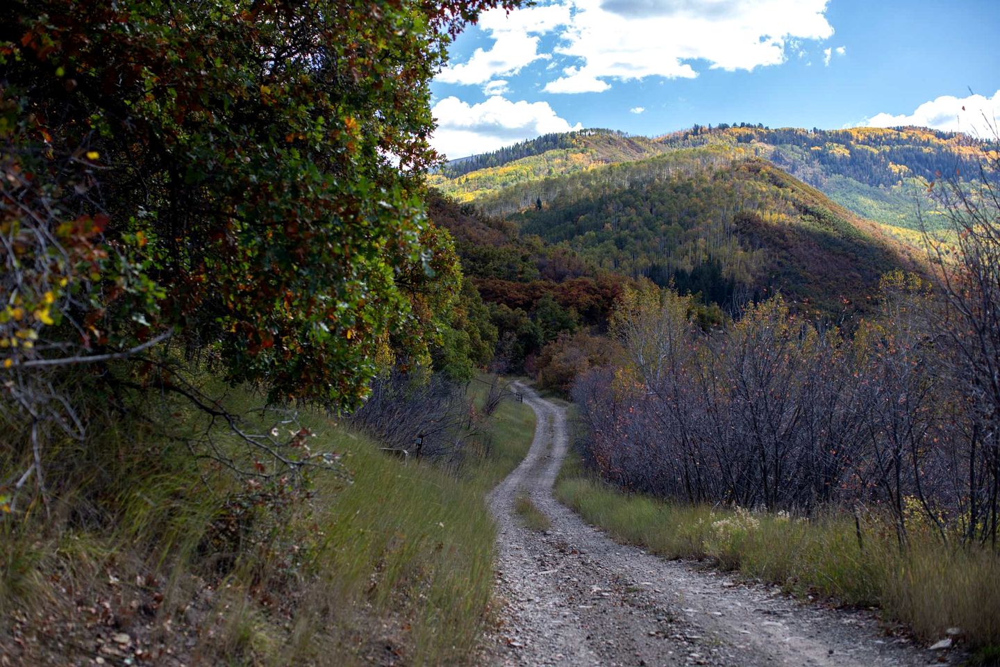 Rustic, Private Log Cabin Lodge in the Wilderness of Colorado, Perfect for a Family Getaway