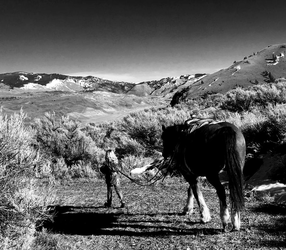 Creekside Cabin Rental Minutes from Yellowstone National Park in Gardiner, Montana