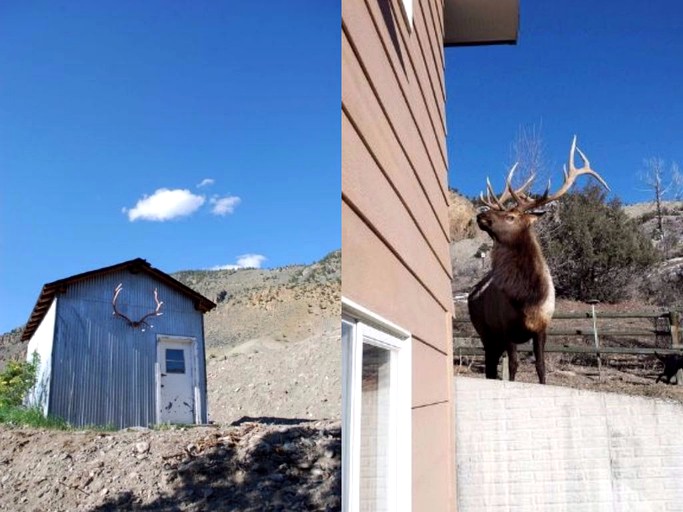 Vacation Rentals (Gardiner, Montana, United States)