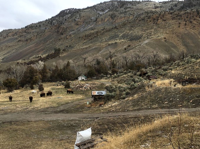 Cabins (Gardiner, Montana, United States)