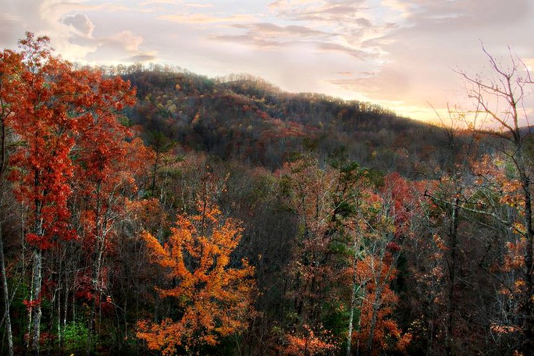 Cottages (Sevierville, Tennessee, United States)