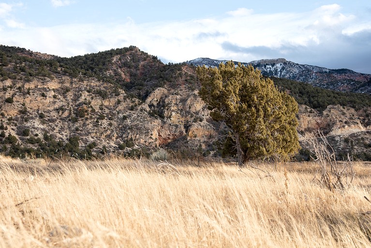 Domes (United States of America, Kanarraville, Utah)
