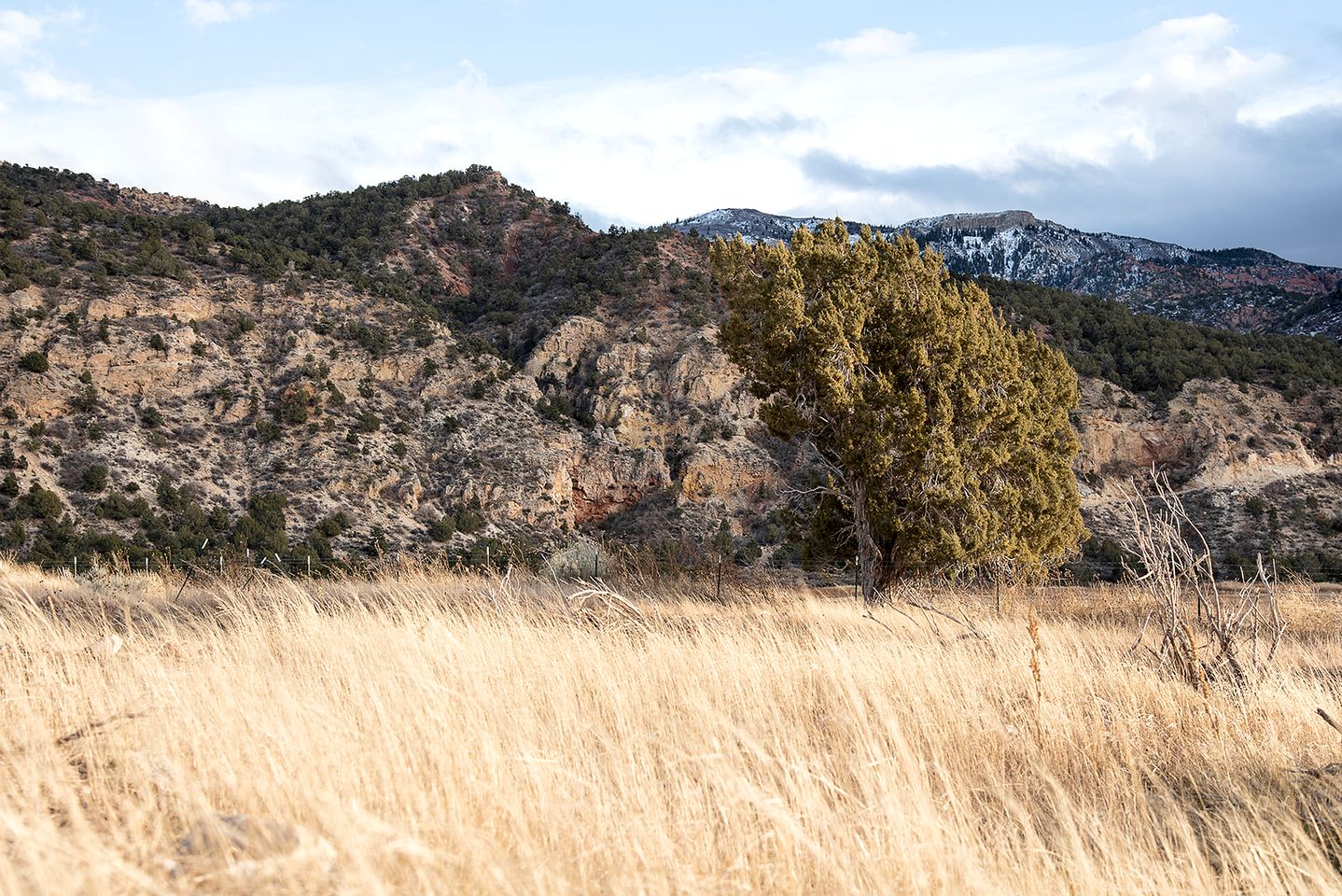 Private Dome Ideal for a Peaceful Retreat in Utah