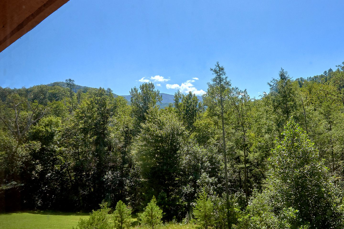 Stunning Cosby Cabin with a Pool and Hot Tub