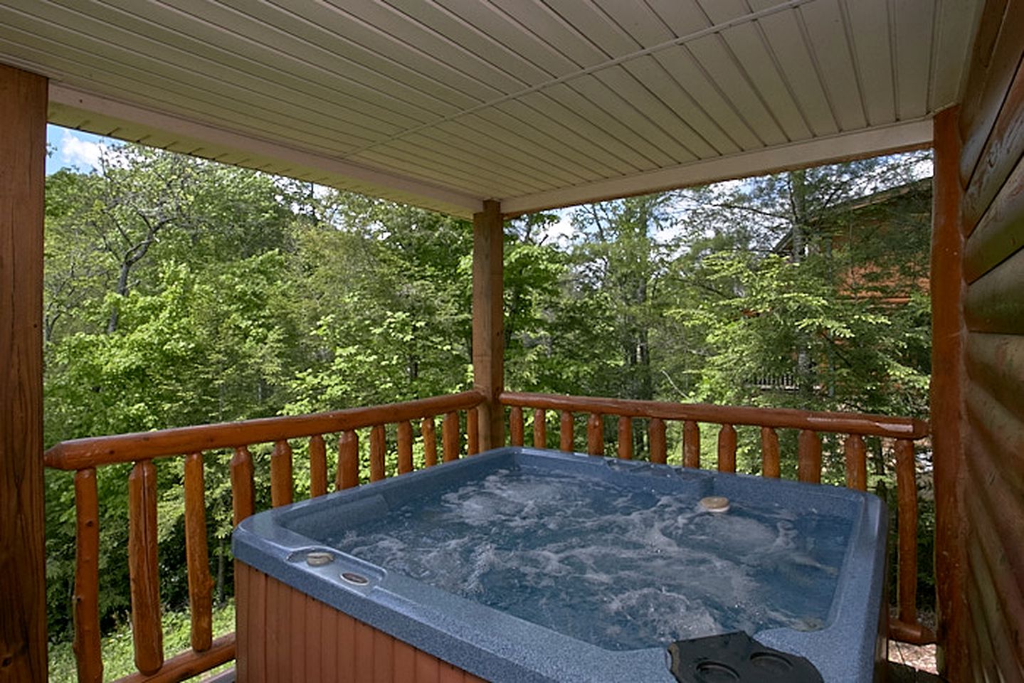 Stunning Cosby Cabin with a Pool and Hot Tub