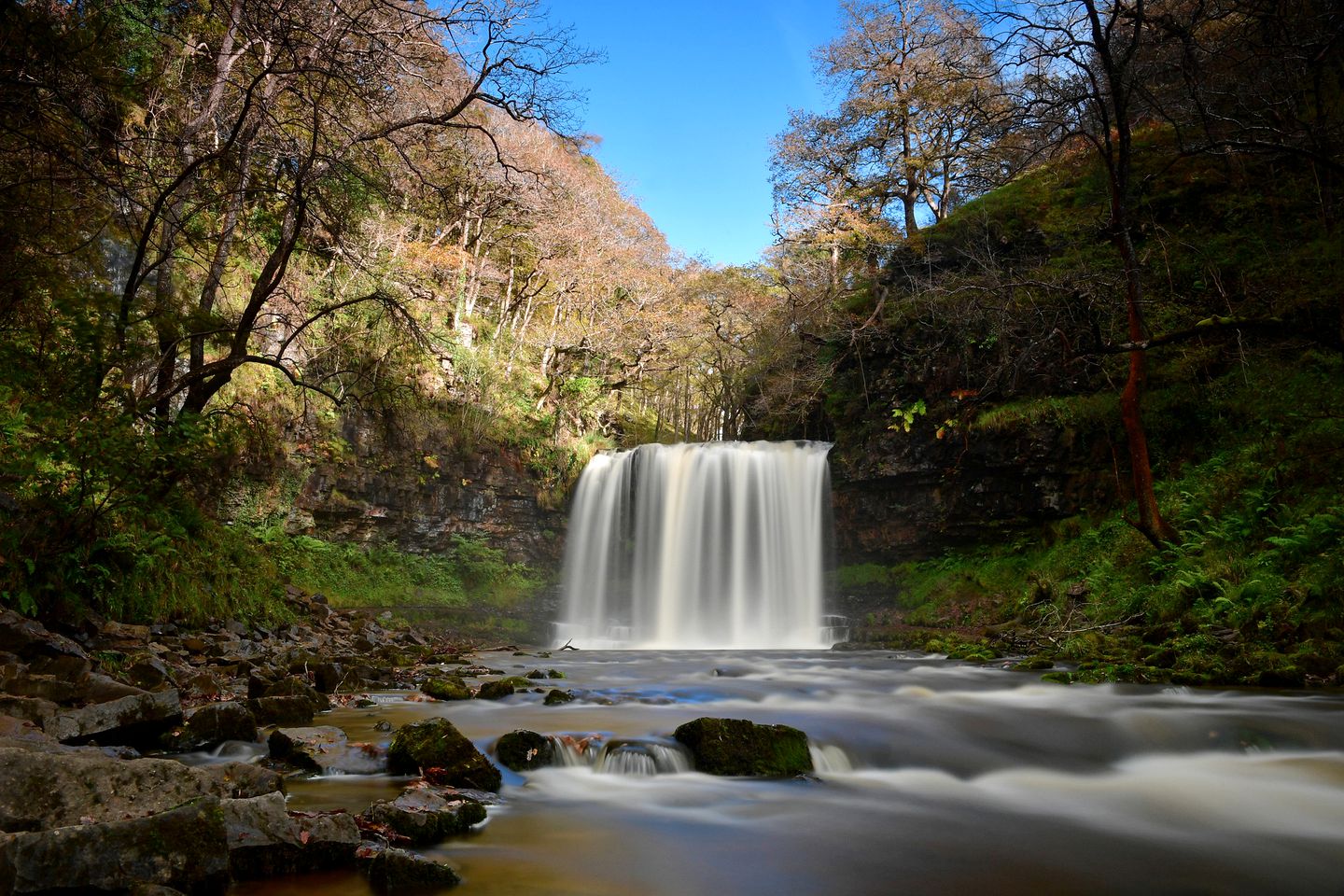 Country Living with Furry Friends: Explore Brecon from a Pet-Friendly Cottage