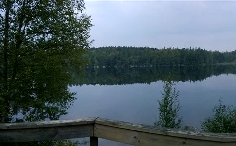 undefined photo 3
