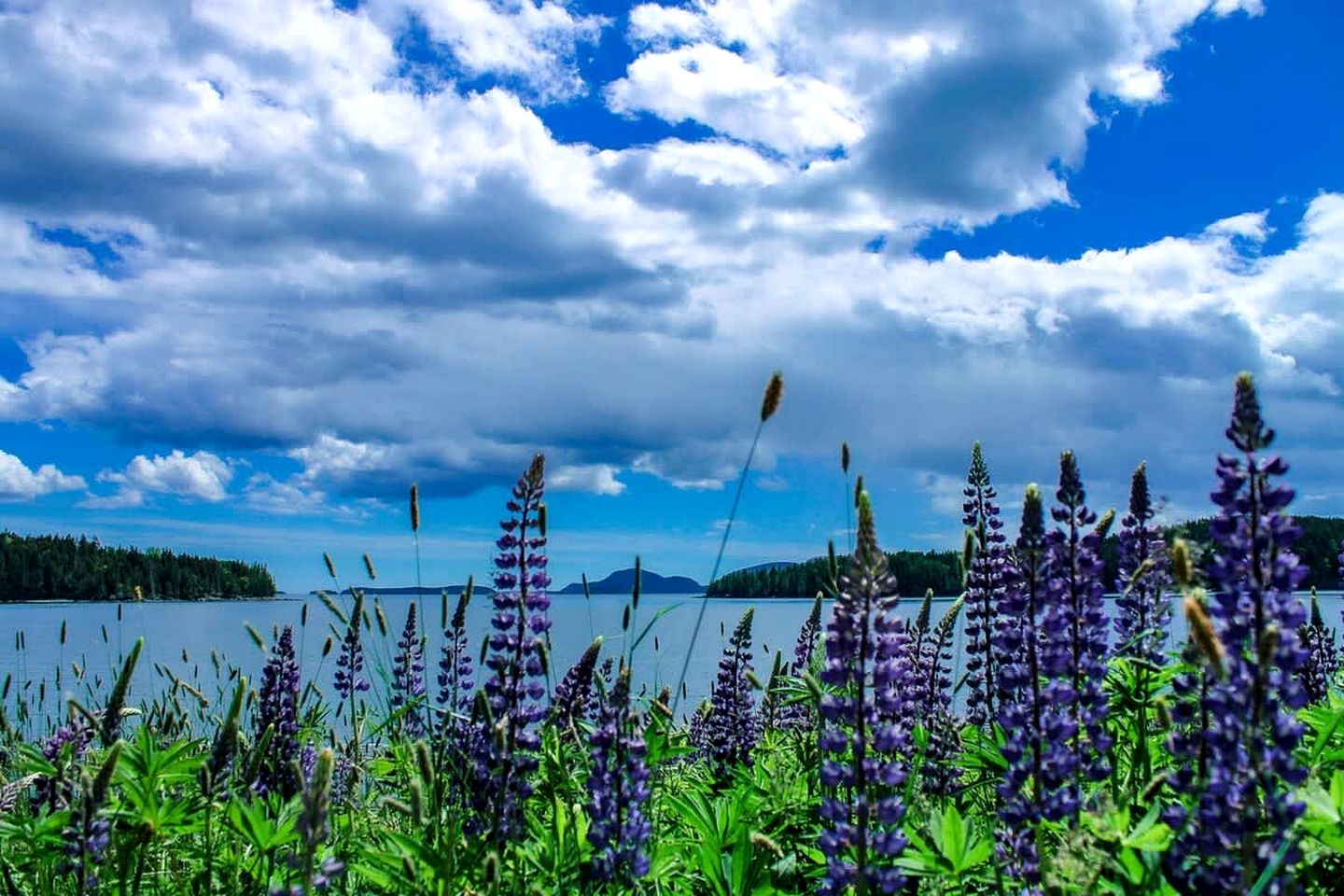 Rustic Waterfront Beach House with Private Beach, Fire Pit & Dock, Near Bar Harbor in Hancock, Maine