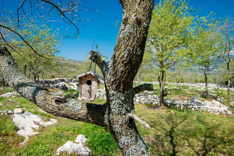 Tiny Houses (Kotor, Kotor, Montenegro)